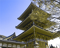 色覚特性者の京都の見え方